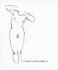 Torso