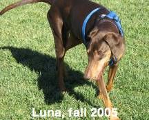 Luna 2005