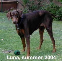 Luna 2004