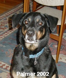 Palmer 2002