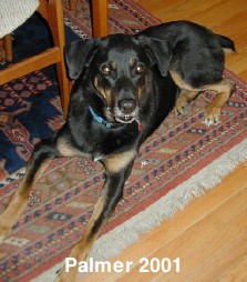 Palmer 2001