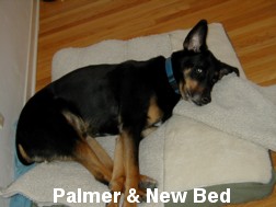 Palmer and his new bed